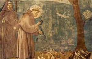 La predica agli uccelli, attribuito a Giotto, 1295-1299, affresco, 270cm x 200cm, Basilica Superiore di Assisi.