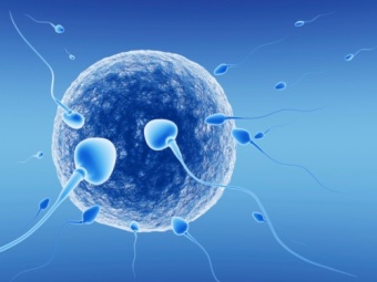 L’infertilità: i rimedi all’impossibile del dott. Corbellini