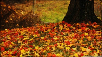 L’autunno